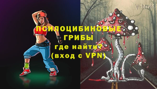 гидропоника Абаза